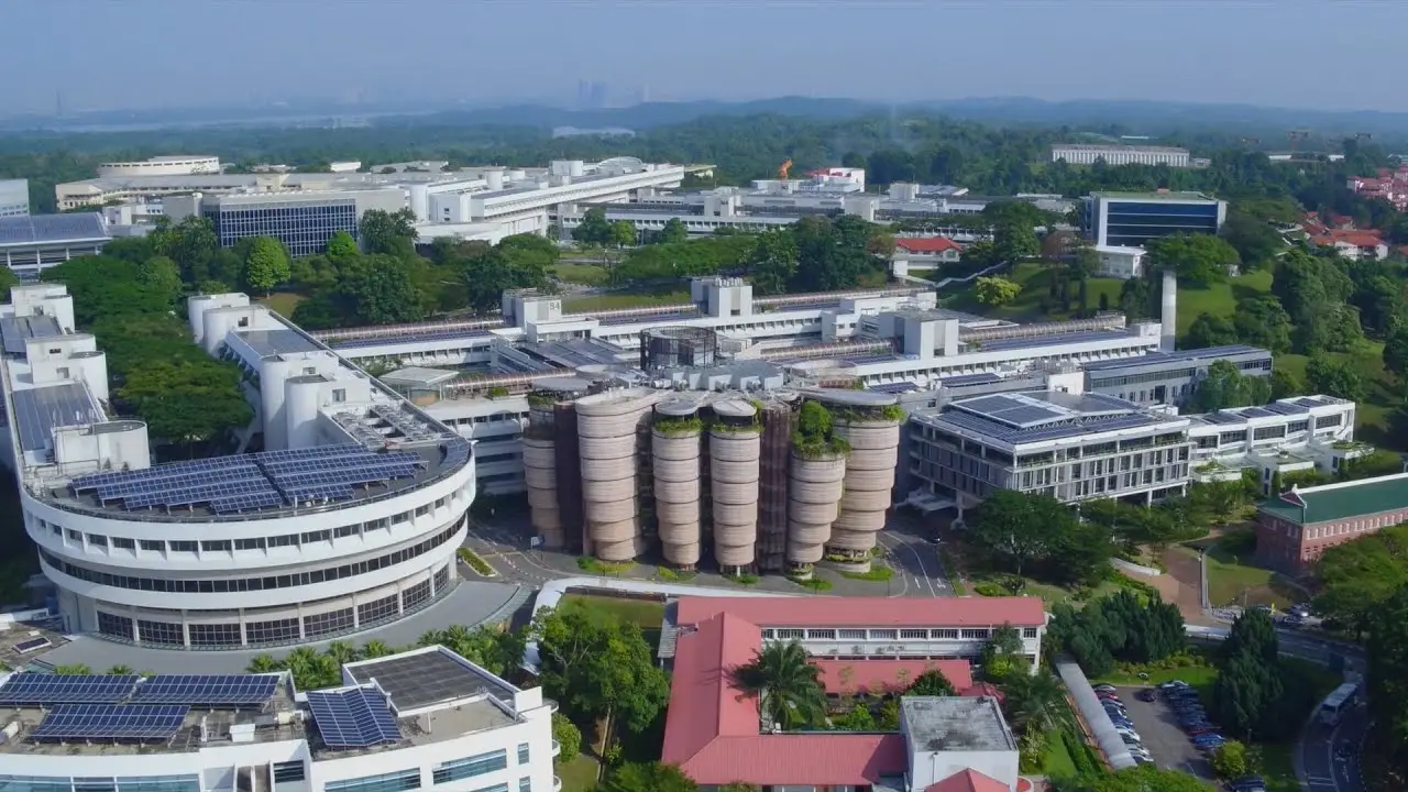 Nanyang Technological University, Lee Kong Chian School of Medicine