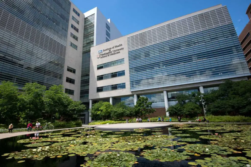 Washington University School Of Medicine