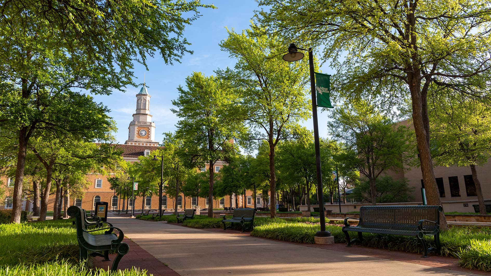 University of Texas