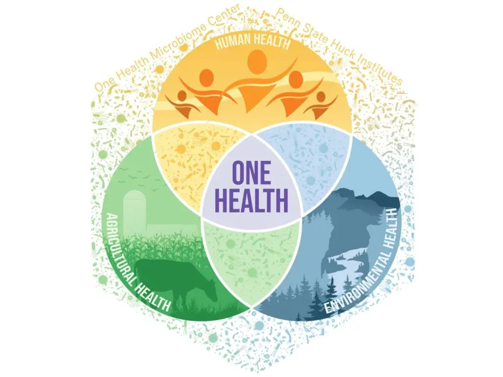 One Health